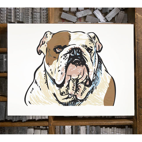 RAN-30 Bulldog, White