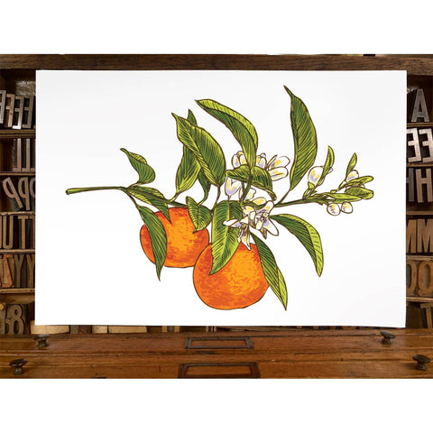 RFM-38 Oranges