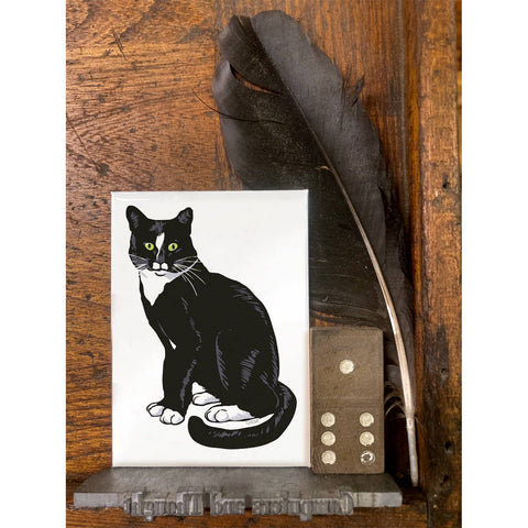 RAN-35 Tuxedo Cat
