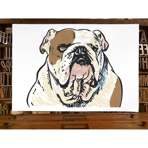 RAN-30 Bulldog, White