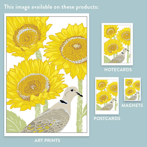 RBI-231 Eurasian Collared-Dove and Sunflowers