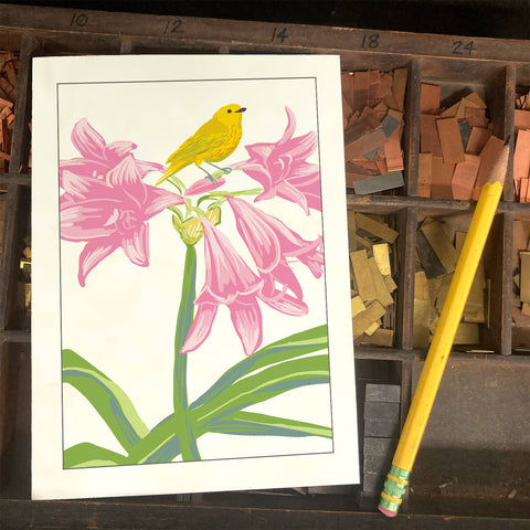 RBI-238 Yellow Warbler and Amaryllis