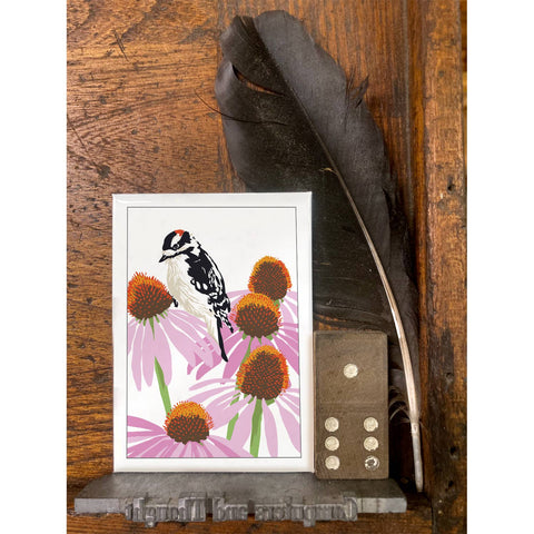 RBI-219 Downy Woodpecker & Coneflower
