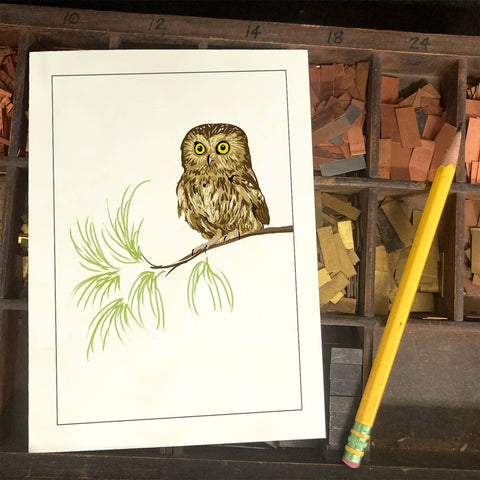 RBI-30 Saw-Whet Owl