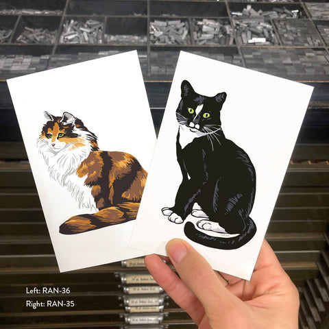 RAN-35 Tuxedo Cat