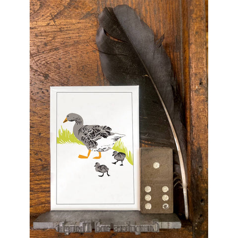 RBI-12 Goose Family