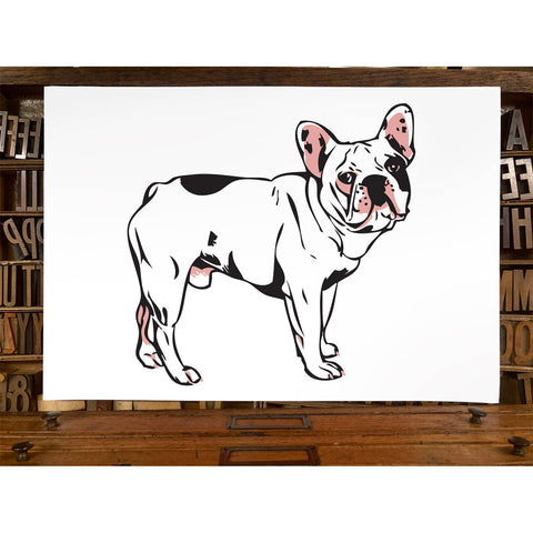 RAN-34 French Bulldog