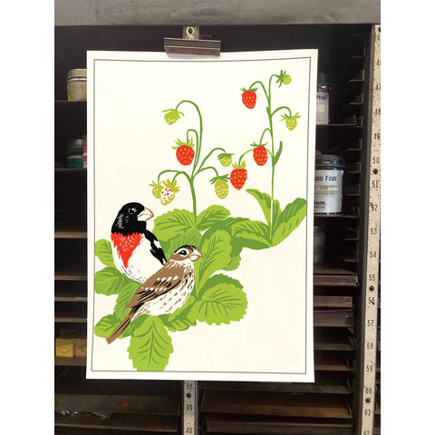 RBI-113 Rose Breasted Grosbeaks & Strawberries