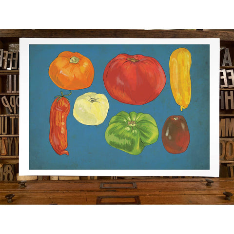 RFM-413 Tomatoes