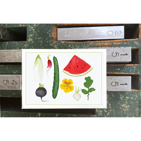RFM-419 Watermelon and Cucumber