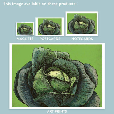 RFM-406 Cabbage