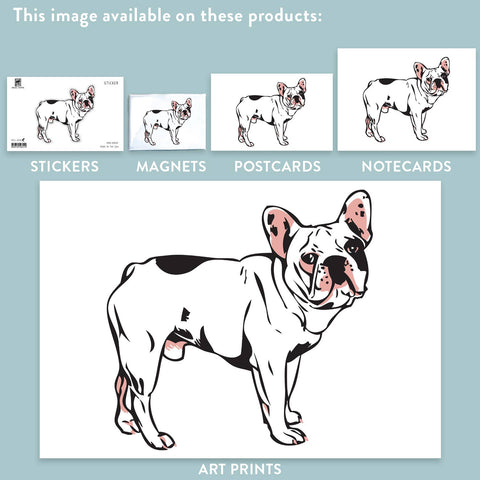 RAN-34 French Bulldog