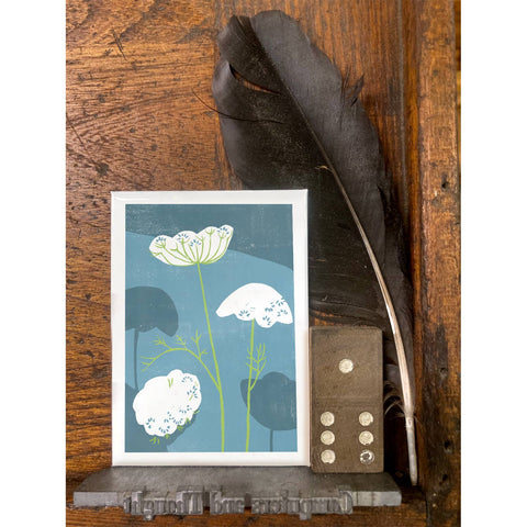 RFL-312 Queen Annes Lace