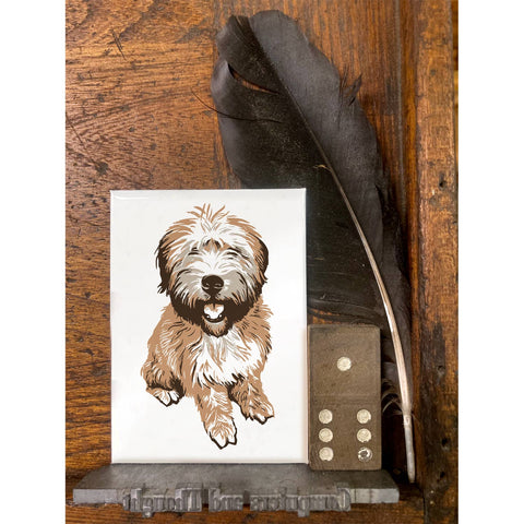 RAN-73 Wheaton Terrier