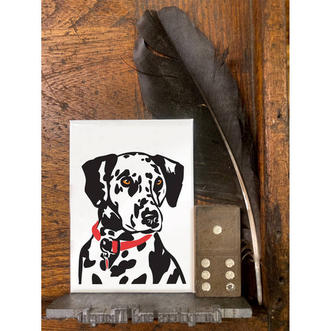 RAN-55 Dalmatian