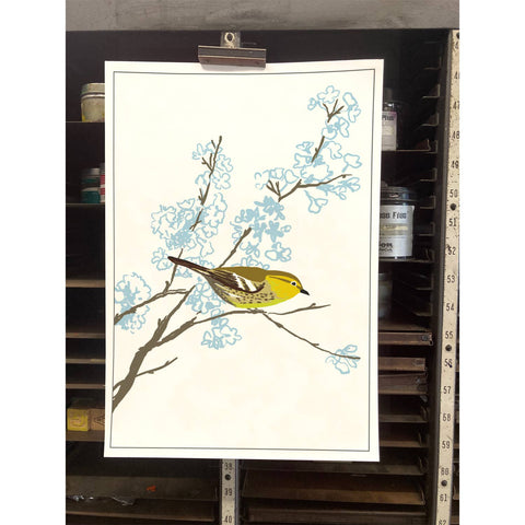 RBI-05 Warbler in Flowering Tree