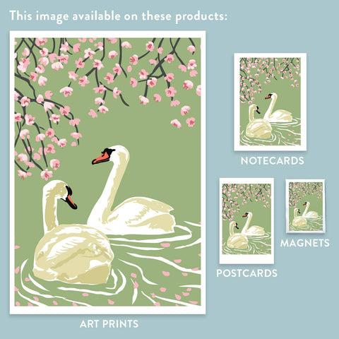 RBI-133 Swans & Cherry Blossoms