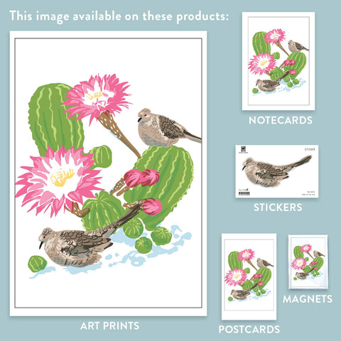 RBI-190 Inca Dove and Cactus