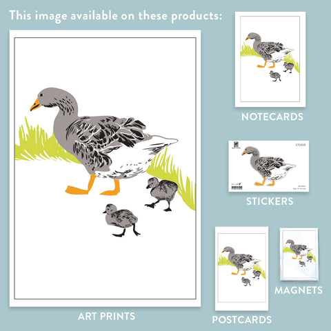 RBI-12 Goose Family