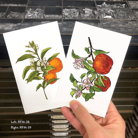 RFM-38 Oranges
