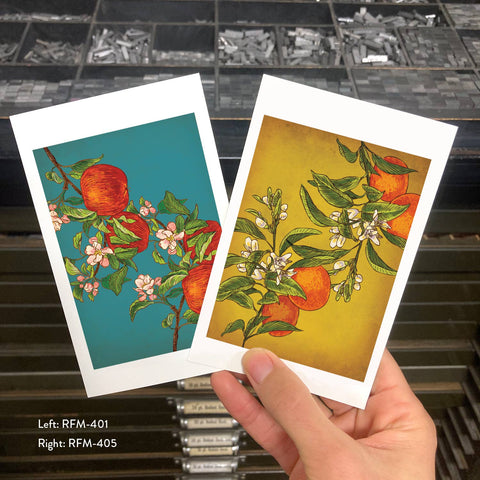 RFM-401 Apples