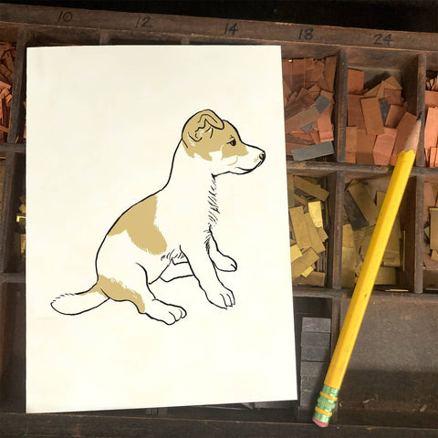 RAN-61 Jack Russell Puppy