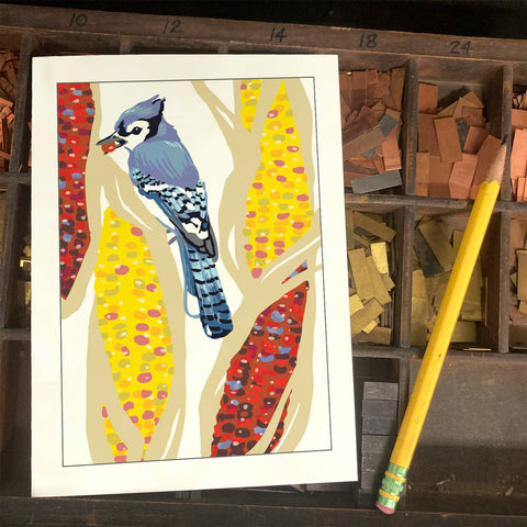 RBI-229 Blue Jay and Corn