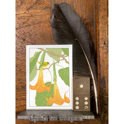 RBI-9133 Angels Trumpet and Wilsons Warbler