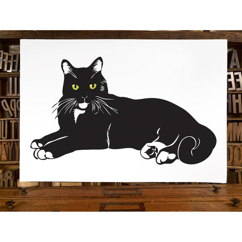 RAN-28 Black Cat Lying Down