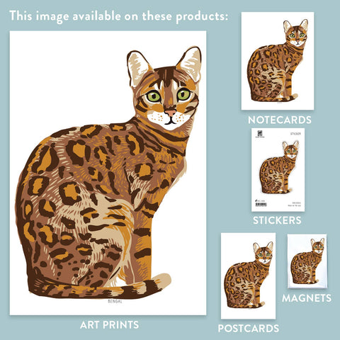 RAN-43 Bengal Cat
