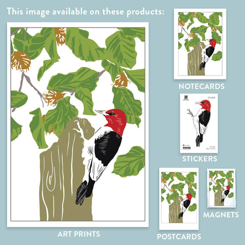 RBI-205 Red-headed Woodpecker