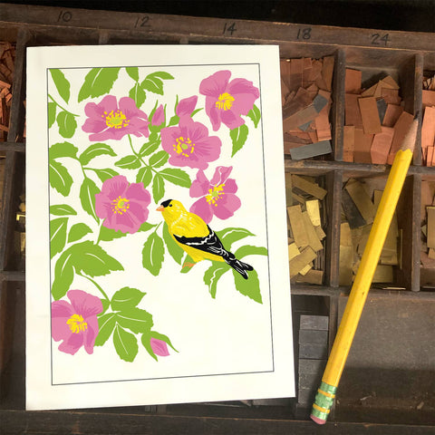 RBI-200 Goldfinch Wild Roses