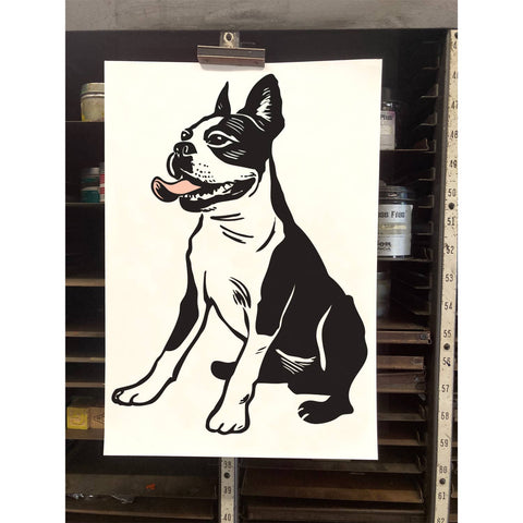 RAN-48 Boston Terrier 2