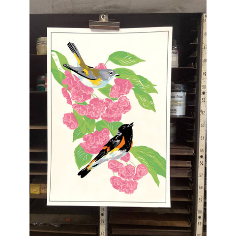 RBI-186 American Redstart and Cherry