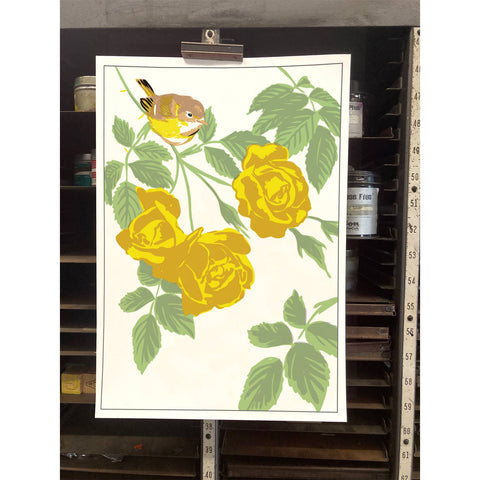 RBI-105 Vireo & Yellow Roses