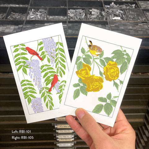 RBI-101 Wisteria & Tanagers