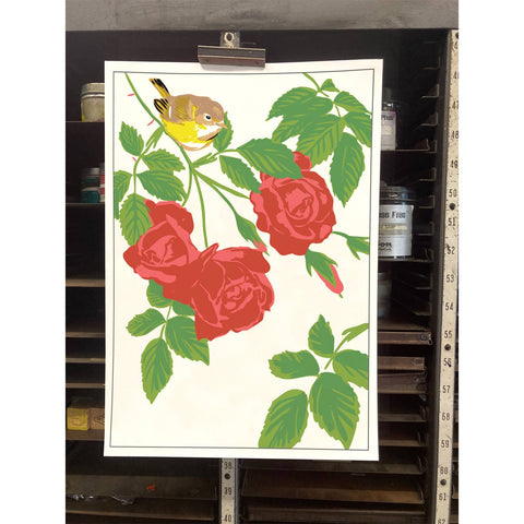 RBI-103 Vireo & Red Roses