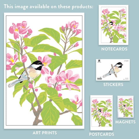 RBI-207 Chickadee Apple Blossoms