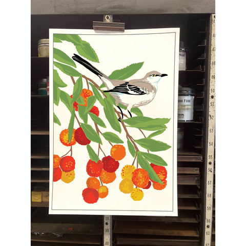 RBI-182 Mockingbird Strawberry Tree