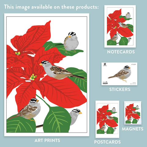 RBI-211 White-Crowned Sparrows & Poinsettias