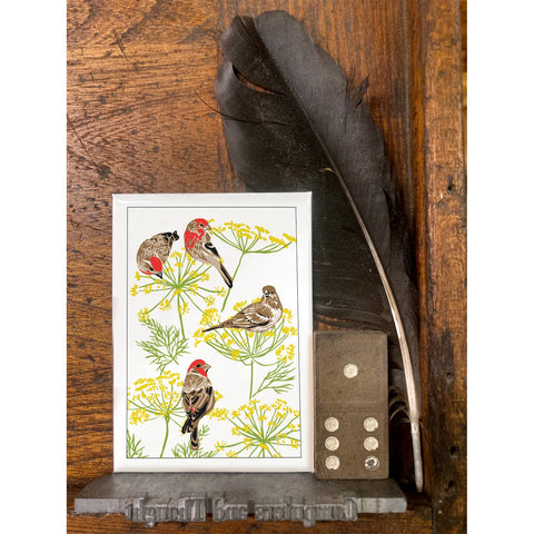 RBI-120 Finches & Fennel Flowers