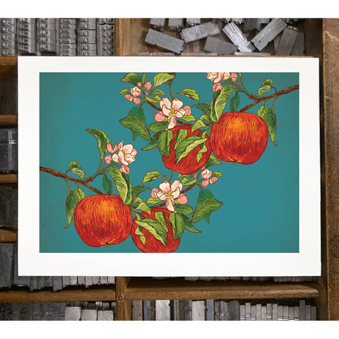 RFM-401 Apples