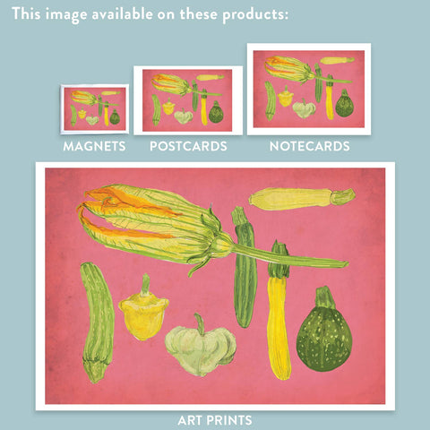 RFM-411 Summer Squash