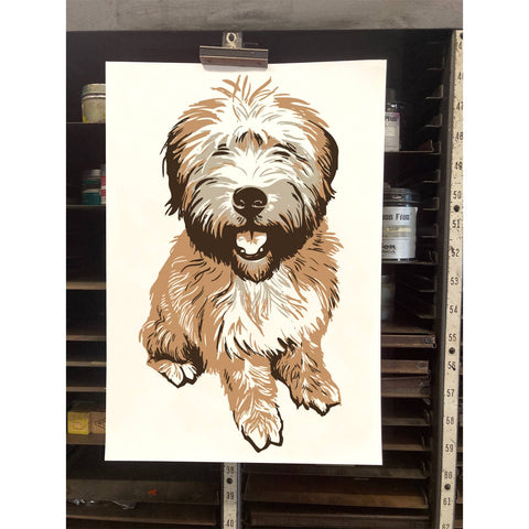 RAN-73 Wheaton Terrier