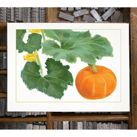 RFM-179 Kabocha Squash