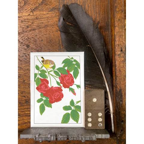 RBI-103 Vireo & Red Roses