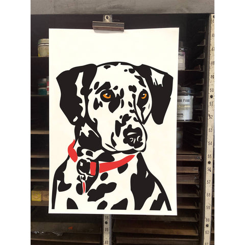 RAN-55 Dalmatian