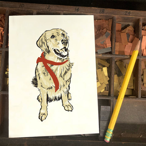 RAN-24 Golden Retriever with Red Ribbon