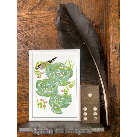 RBI-114 Golden-Crowned Kinglet and Succulents