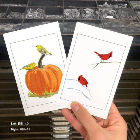 RBI-40 Warblers & Pumpkin